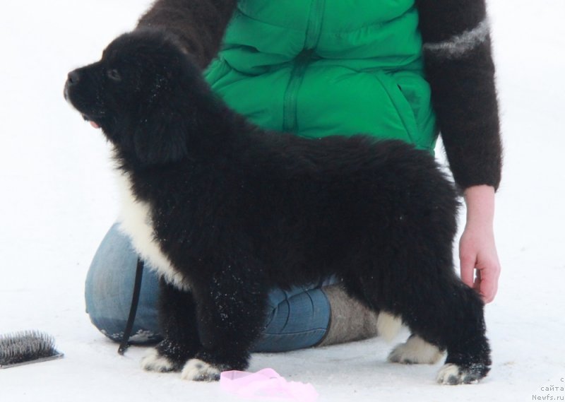 Фото: Фанагория