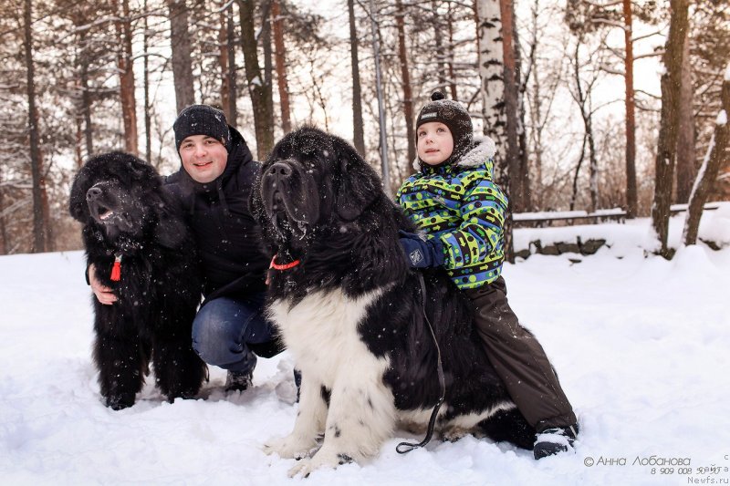 Фотография № 232901