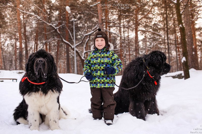 Фотография № 232902