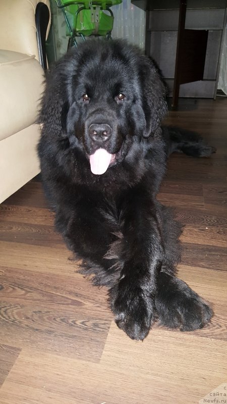 Фотография № 232905