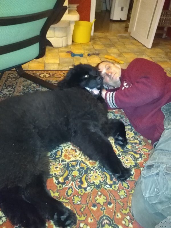 Фотография № 232907