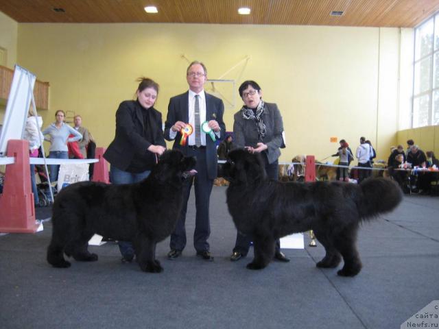 Фото: MARLE CREEK S NORA OF NEVEPLAND  и  DUTTY FREE OF APACHEE S HOME