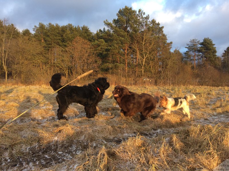 Фотография № 232929