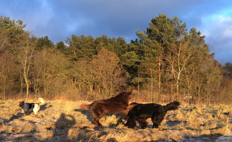 Фотография № 232930