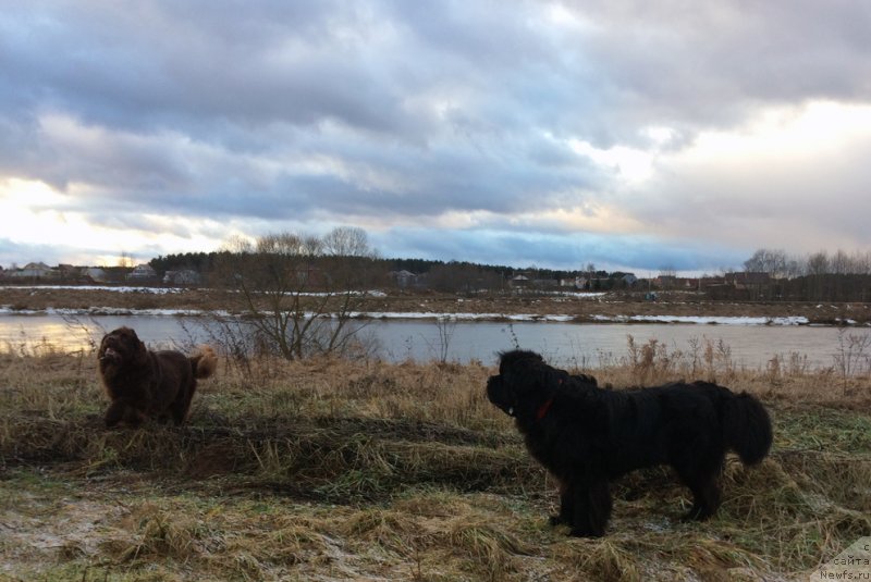 Фотография № 232933