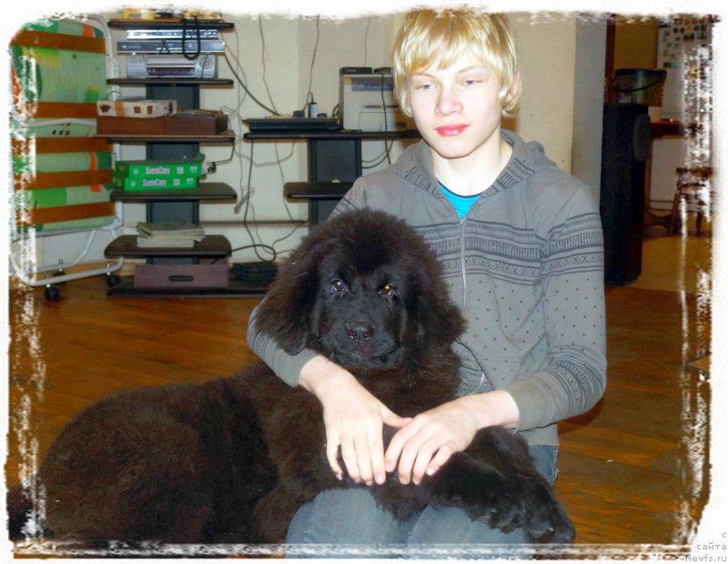 Фотография № 232942