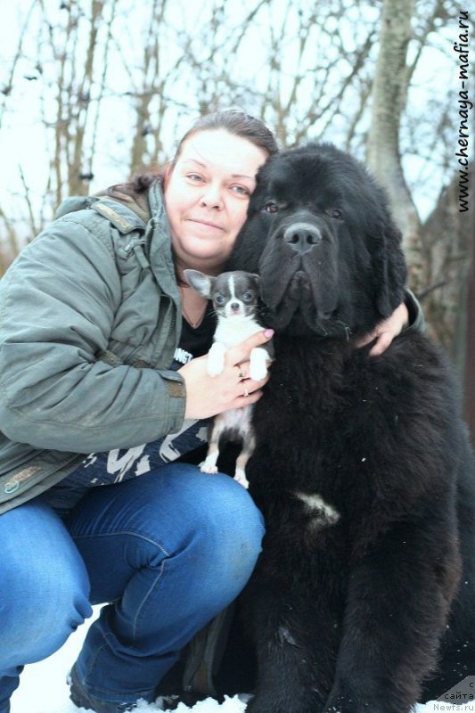 Фотография № 232965