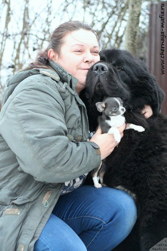 Фотография № 232966