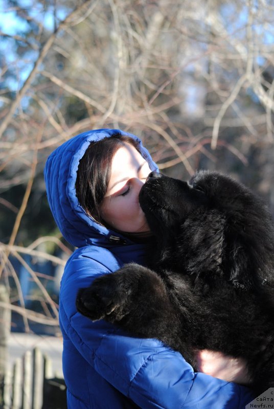 Фотография № 232987