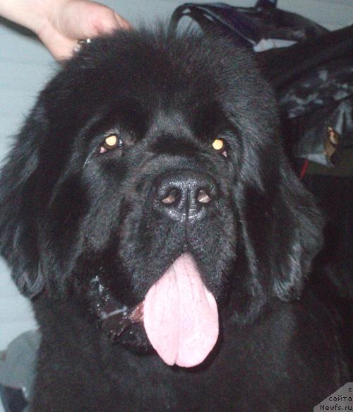 Фотография № 23300