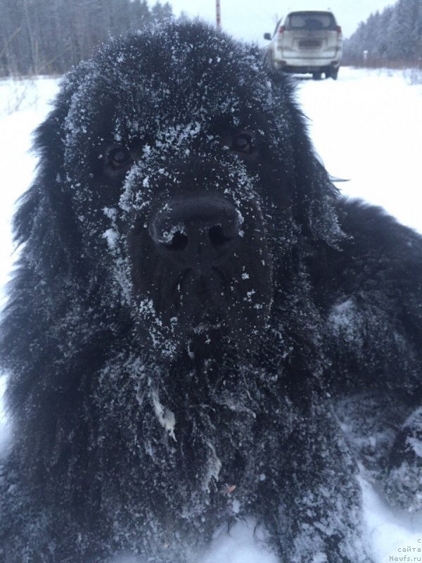 Фотография № 233004