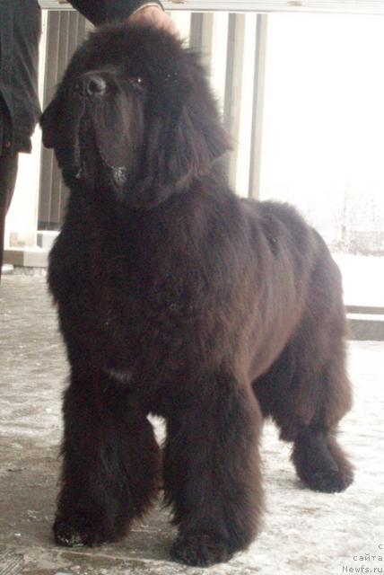 Фотография № 23301