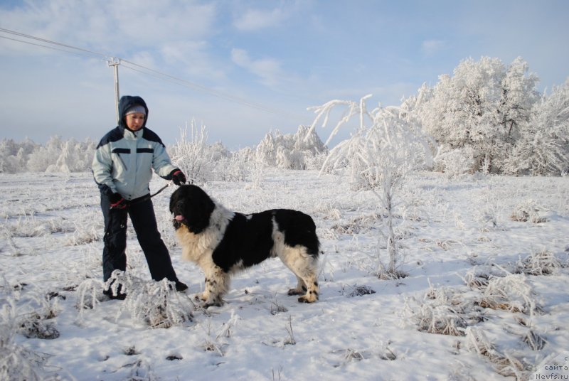 Фотография № 233020