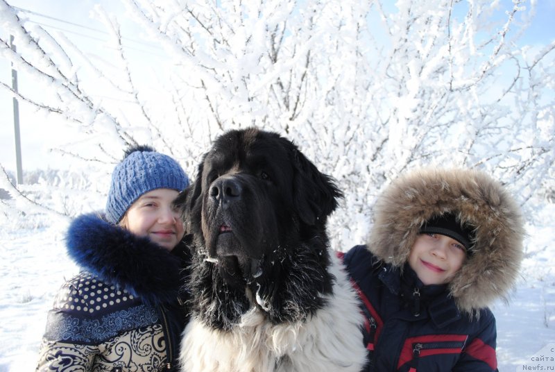 Фотография № 233021