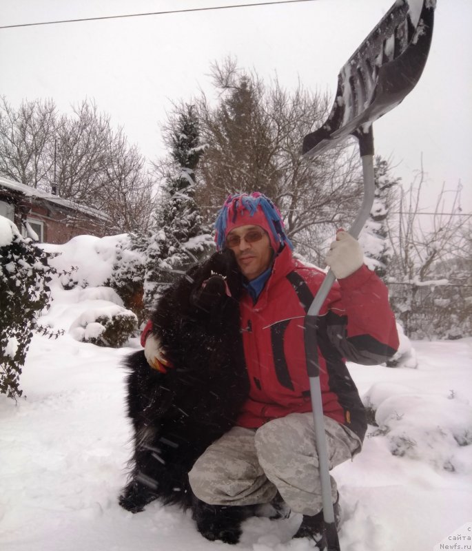 Фотография № 233055