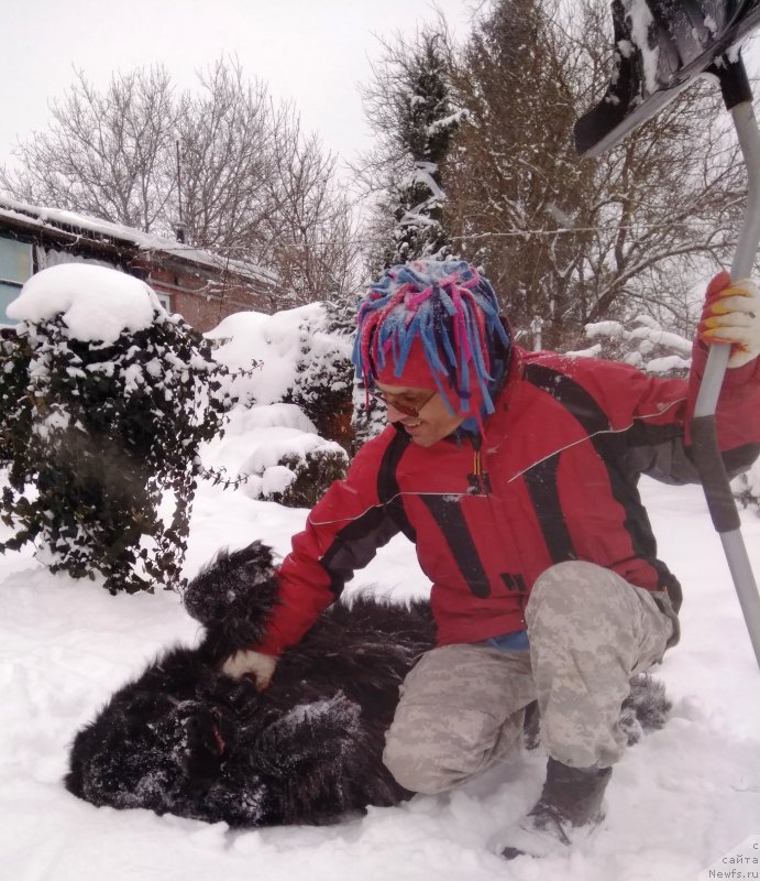 Фотография № 233056