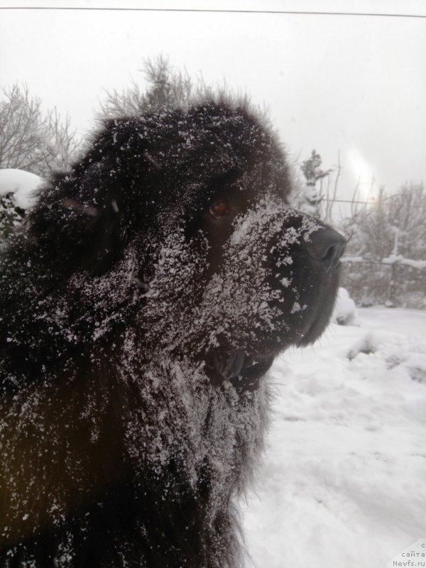 Фотография № 233057