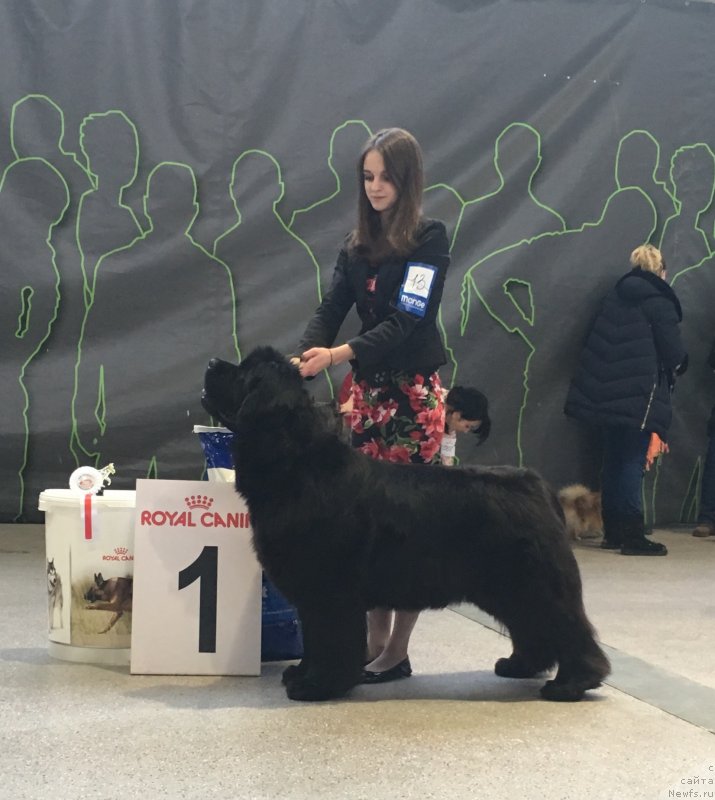 Фотография № 233069