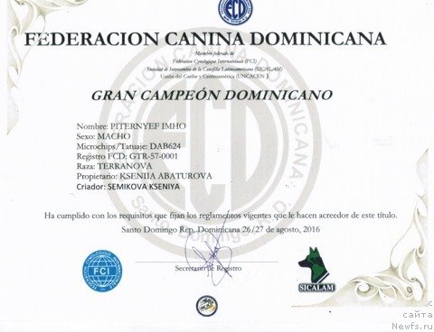 Фото: ньюфаундленд Питерньюф ИМХО (Piternyuf IMXO)