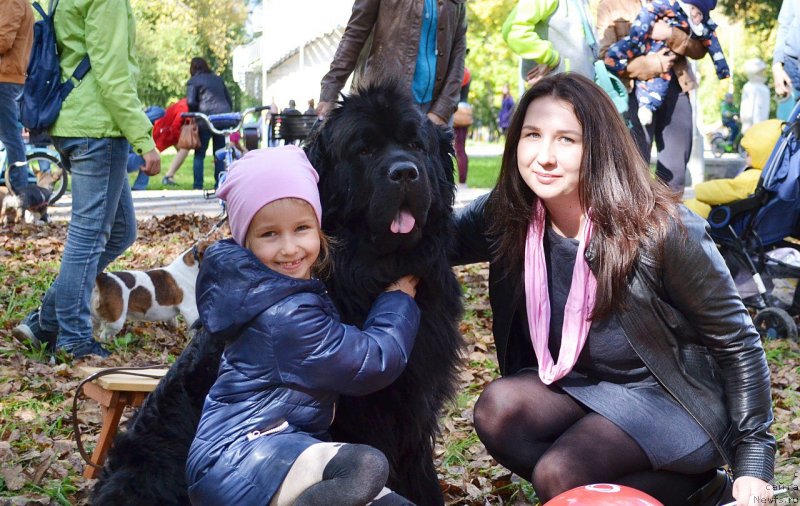 Фотография № 233081