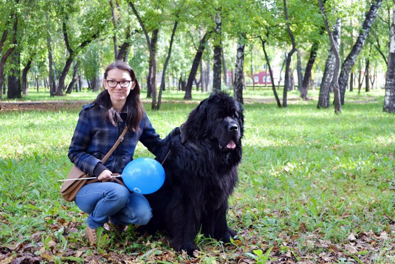 Фотография № 233084