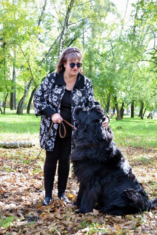 Фотография № 233085