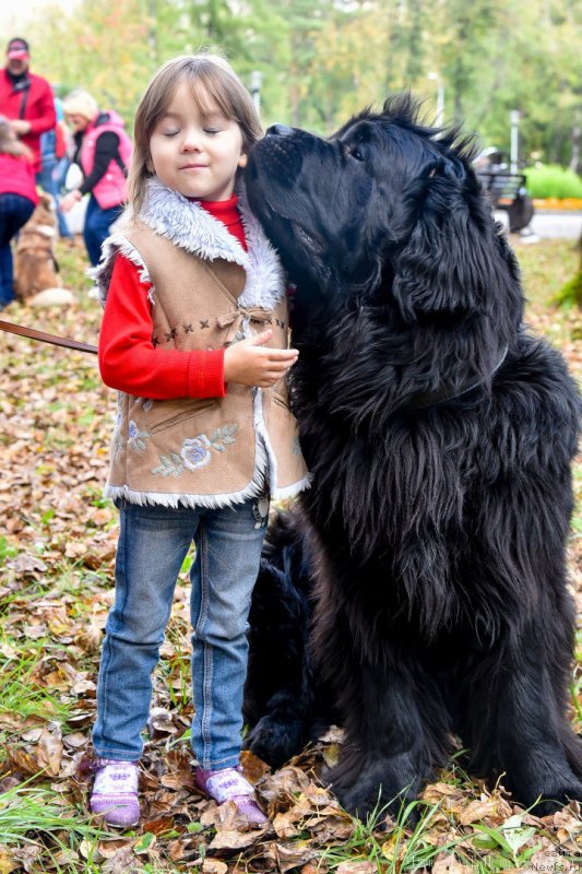 Фотография № 233087