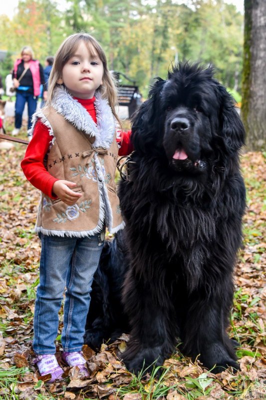 Фотография № 233089