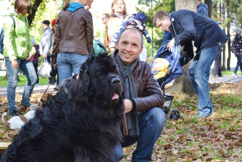 Фотография № 233090