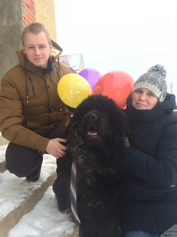 Фотография № 233108