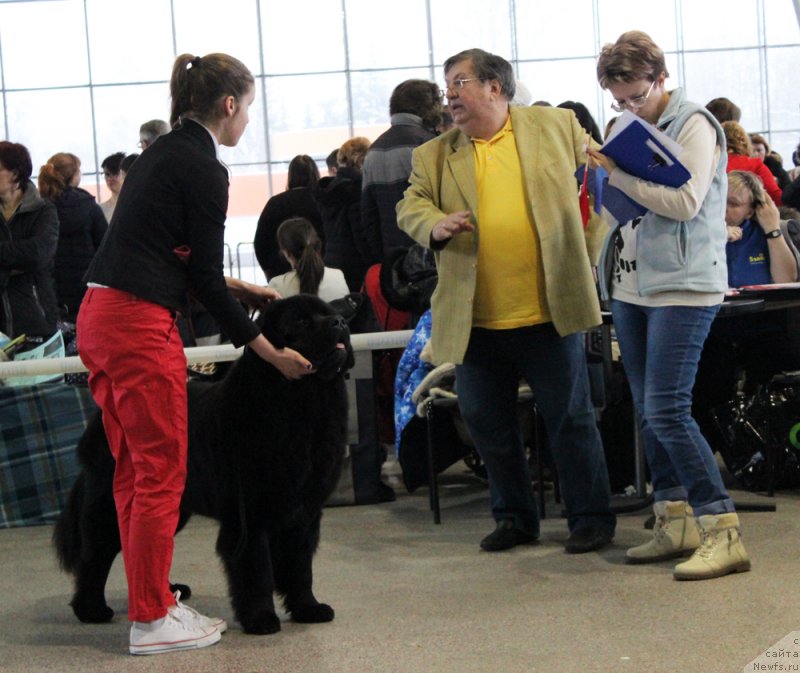 Фотография № 233111