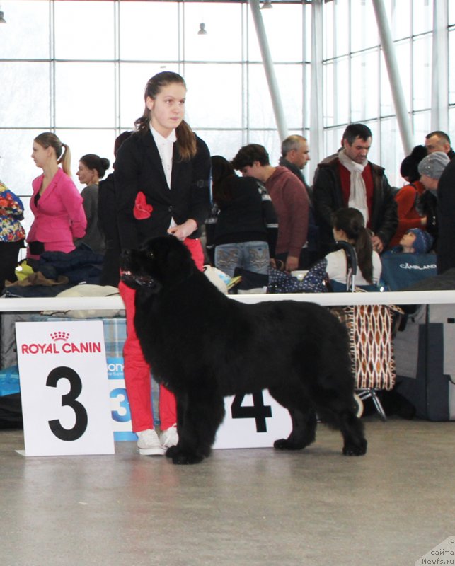 Фотография № 233112