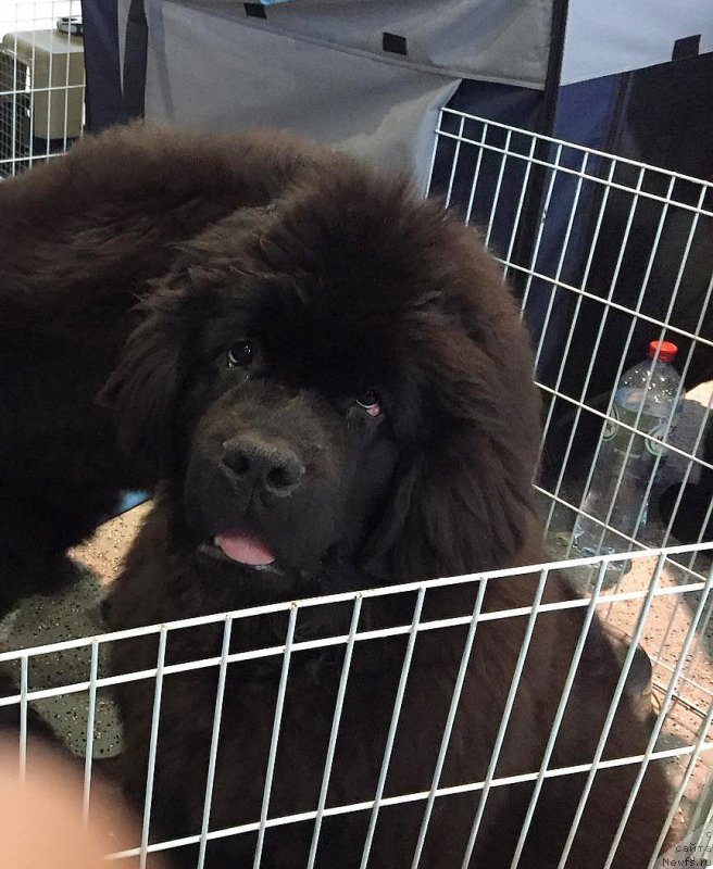 Фотография № 233115