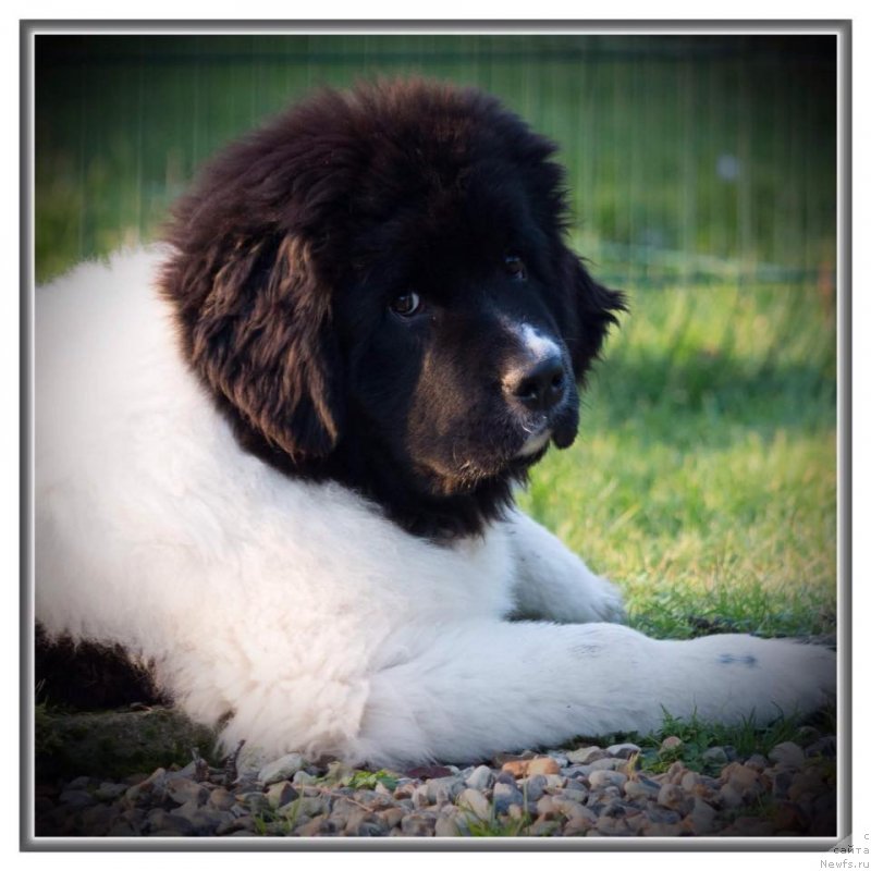 Фотография № 233120