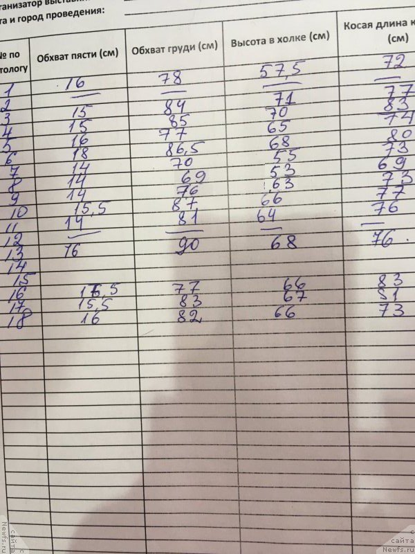 Фотография № 233128