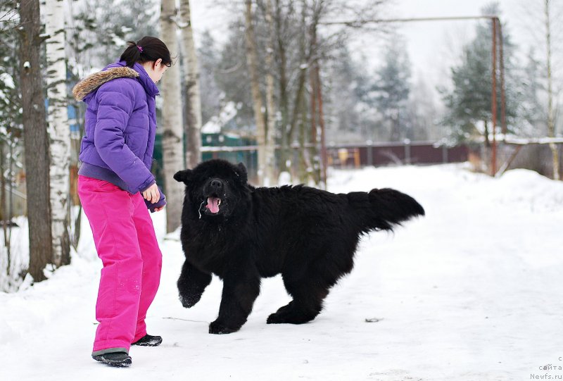 Фотография № 233135