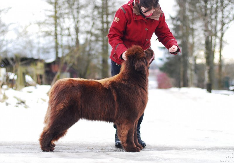 Фотография № 233136