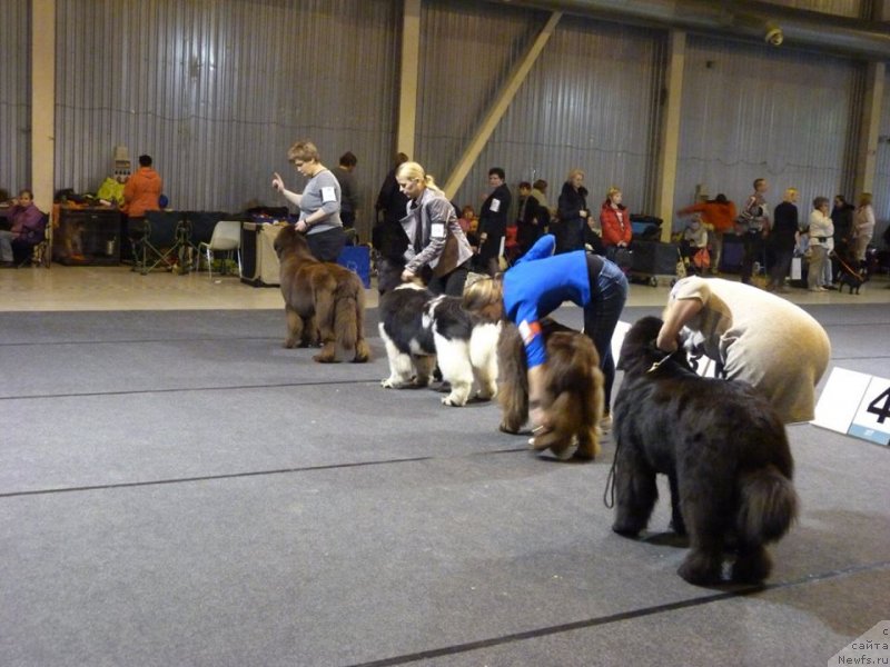 Фотография № 233144