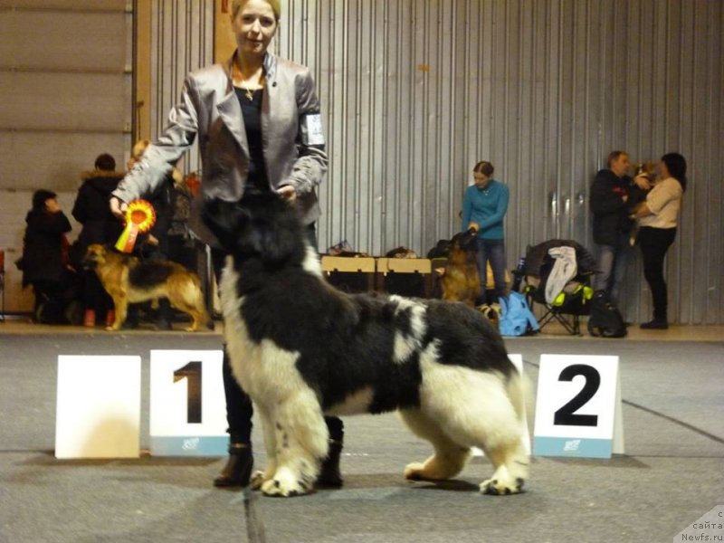 Фотография № 233145