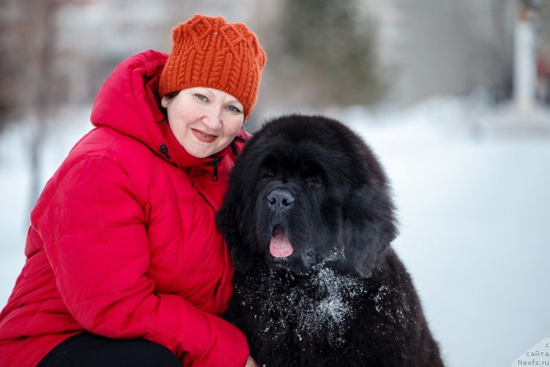 Фотография № 233146