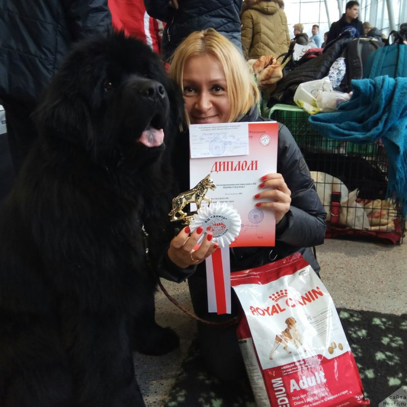 Фотография № 233147