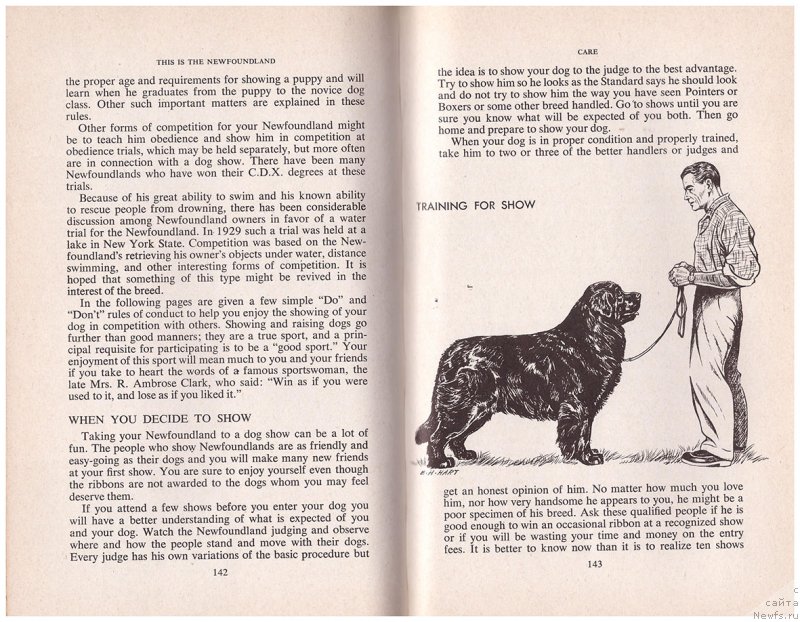 Фотография № 233157