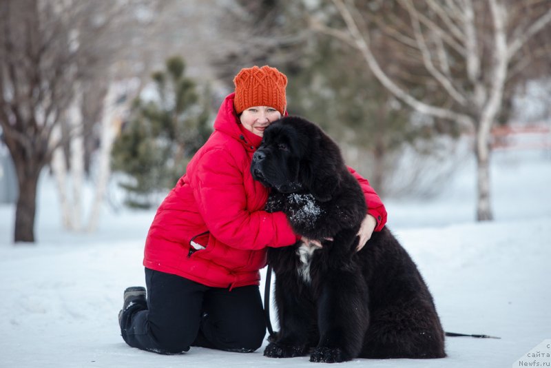 Фотография № 233158