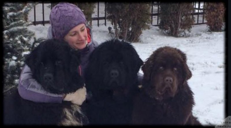 Фотография № 233171