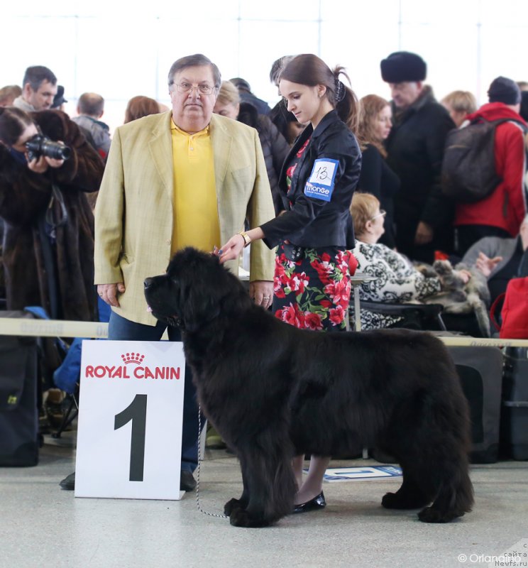 Фотография № 233235