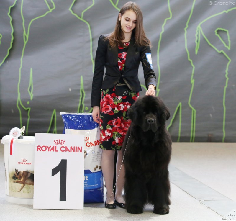 Фотография № 233236