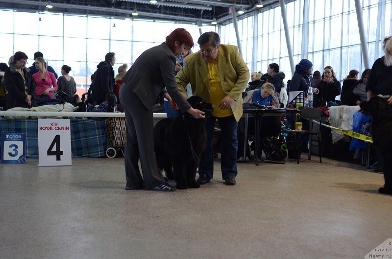 Фотография № 233245