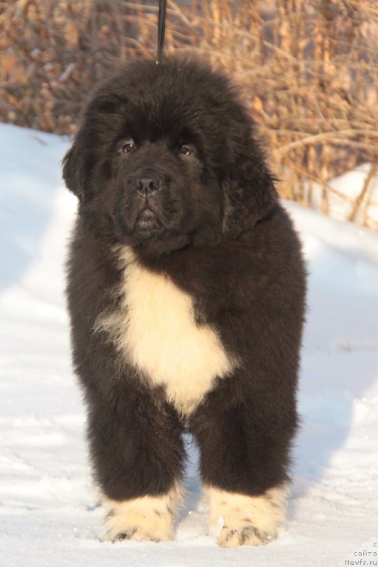 Фото: Форбс