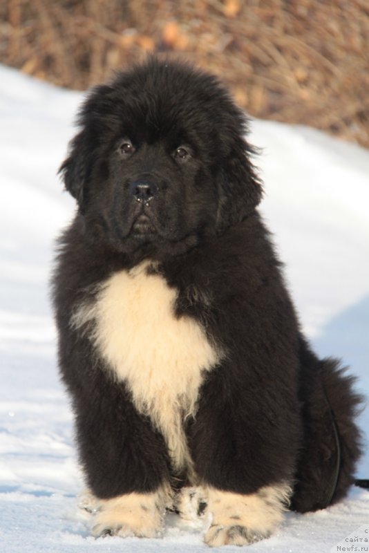 Фото: Форбс