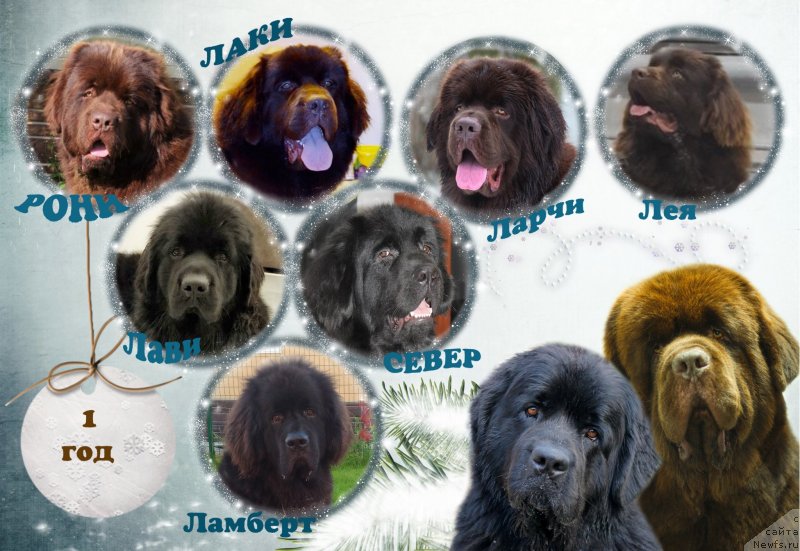 Фотография № 233326